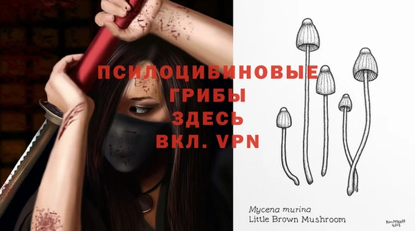 соль ск Остров