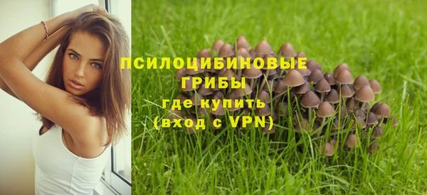 соль ск Остров