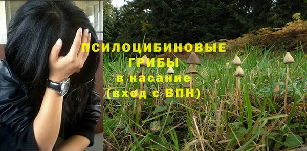 соль ск Остров