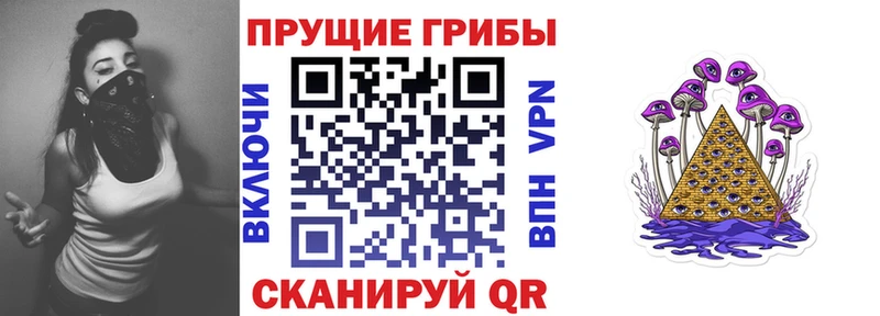 Псилоцибиновые грибы Psilocybe  Кедровый 